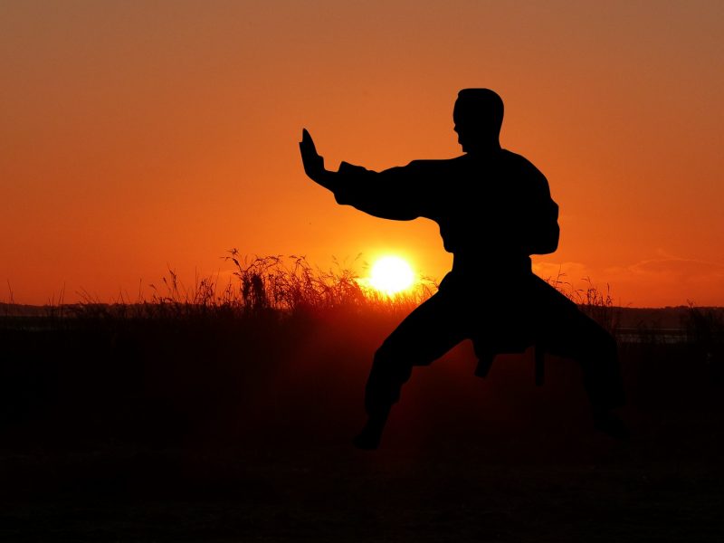 Photo of person in a karate stance in front of the sun