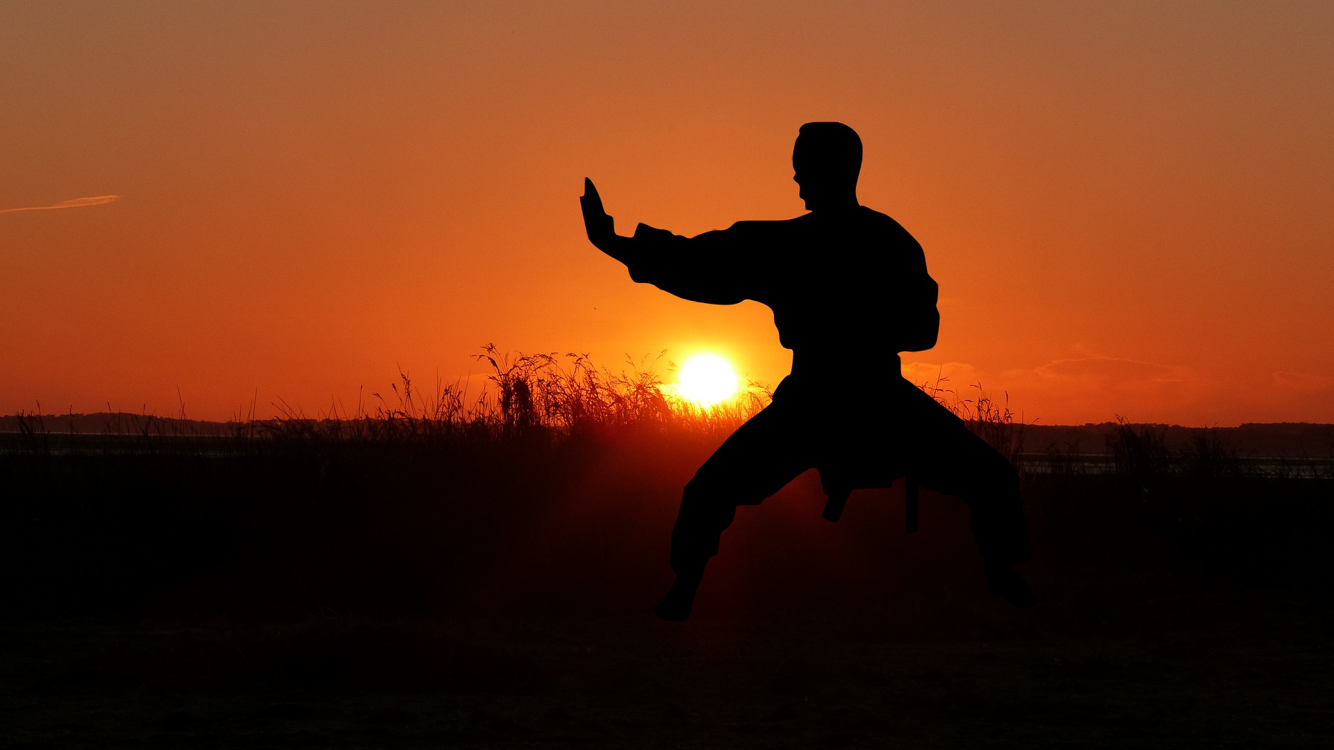 Photo of person in a karate stance in front of the sun